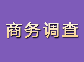 铜鼓商务调查